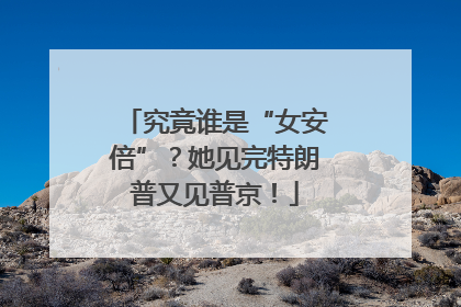 究竟谁是“女安倍”？她见完特朗普又见普京！