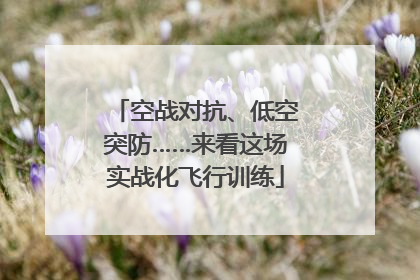 空战对抗、低空突防……来看这场实战化飞行训练