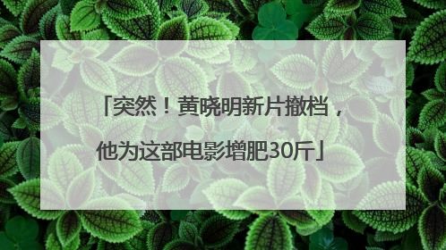 突然！黄晓明新片撤档，他为这部电影增肥30斤