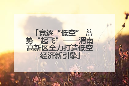 竞逐“低空” 蓄势“起飞”——渭南高新区全力打造低空经济新引擎