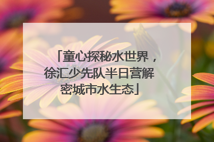 童心探秘水世界，徐汇少先队半日营解密城市水生态