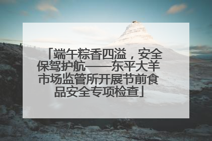 端午粽香四溢，安全保驾护航——东平大羊市场监管所开展节前食品安全专项检查