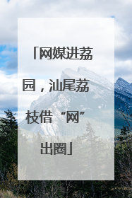 网媒进荔园，汕尾荔枝借“网”出圈