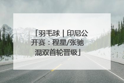 羽毛球｜印尼公开赛：程星/张驰混双首轮晋级