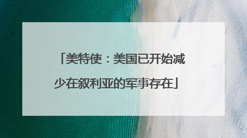 美特使：美国已开始减少在叙利亚的军事存在
