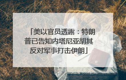 美以官员透露：特朗普已告知内塔尼亚胡其反对军事打击伊朗