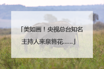 美如画！央视总台知名主持人来泉簪花……