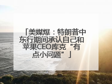 美媒爆：特朗普中东行期间承认自己和苹果CEO库克“有点小问题”