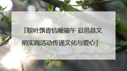 粽叶飘香情暖端午 夏邑县文明实践活动传递文化与爱心