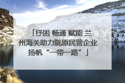 纾困 畅通 赋能 兰州海关助力陇原民营企业扬帆“一带一路”