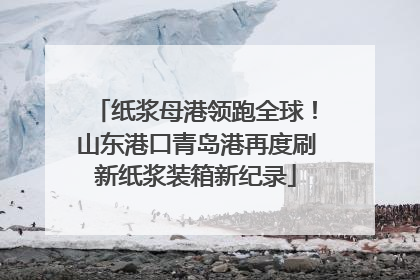 纸浆母港领跑全球！山东港口青岛港再度刷新纸浆装箱新纪录