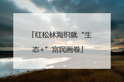 红松林海织就“生态+”富民画卷