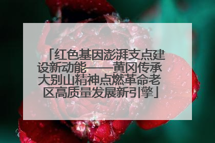 红色基因澎湃支点建设新动能——黄冈传承大别山精神点燃革命老区高质量发展新引擎