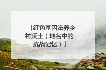 红色基因滋养乡村沃土（地名中的抗战记忆）