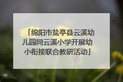 绵阳市盐亭县云溪幼儿园同云溪小学开展幼小衔接联合教研活动