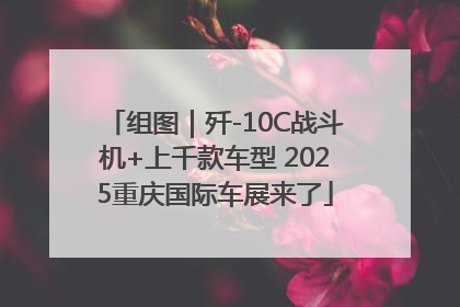 组图｜歼-10C战斗机+上千款车型 2025重庆国际车展来了