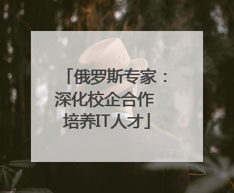 俄罗斯专家：深化校企合作 培养IT人才