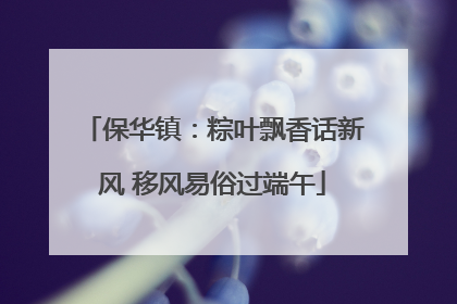 保华镇：粽叶飘香话新风 移风易俗过端午