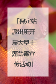 保定站派出所开展大型主题禁毒宣传活动