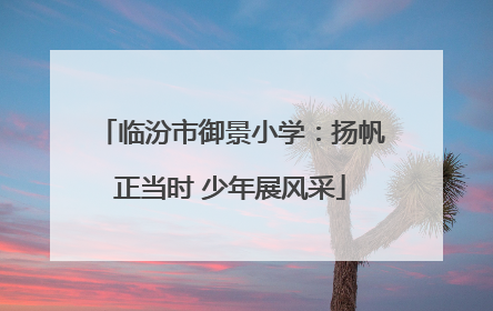 临汾市御景小学：扬帆正当时 少年展风采