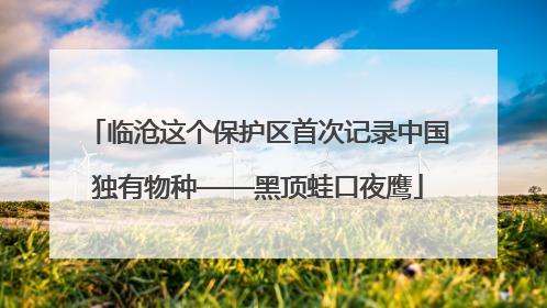 临沧这个保护区首次记录中国独有物种——黑顶蛙口夜鹰