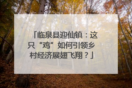 临泉县迎仙镇：这只“鸡”如何引领乡村经济展翅飞翔？