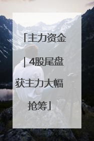 主力资金｜4股尾盘获主力大幅抢筹