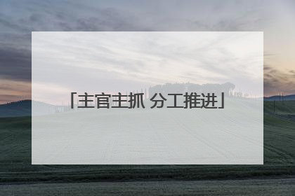 主官主抓 分工推进