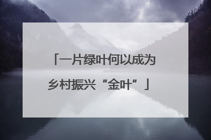 一片绿叶何以成为乡村振兴“金叶”