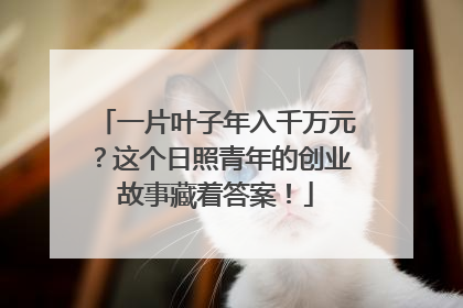 一片叶子年入千万元？这个日照青年的创业故事藏着答案！
