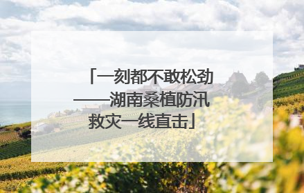一刻都不敢松劲——湖南桑植防汛救灾一线直击