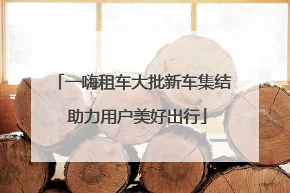 一嗨租车大批新车集结 助力用户美好出行