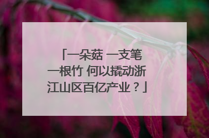 一朵菇 一支笔 一根竹 何以撬动浙江山区百亿产业？