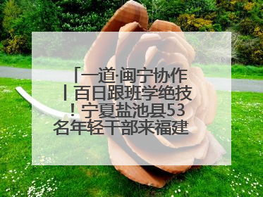 一道·闽宁协作丨百日跟班学绝技！宁夏盐池县53名年轻干部来福建取“真经”