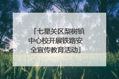 七星关区梨树镇中心校开展铁路安全宣传教育活动