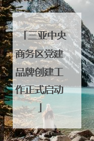 三亚中央商务区党建品牌创建工作正式启动