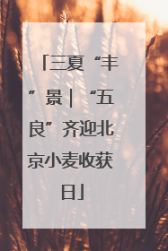 三夏“丰”景｜“五良”齐迎北京小麦收获日