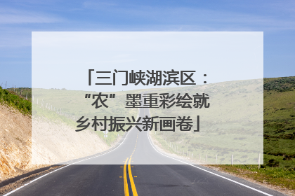 三门峡湖滨区：“农”墨重彩绘就乡村振兴新画卷