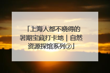 上海人都不晓得的 暑期宝藏打卡地｜自然资源探馆系列②
