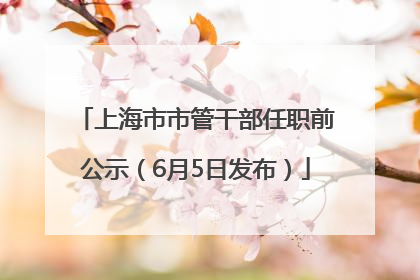 上海市市管干部任职前公示（6月5日发布）