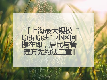 上海最大规模“原拆原建”小区回搬在即，居民与管理方先约法三章