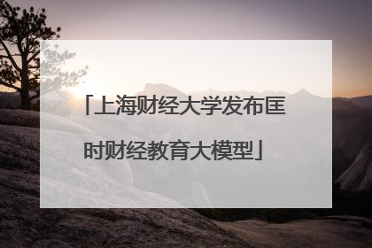 上海财经大学发布匡时财经教育大模型