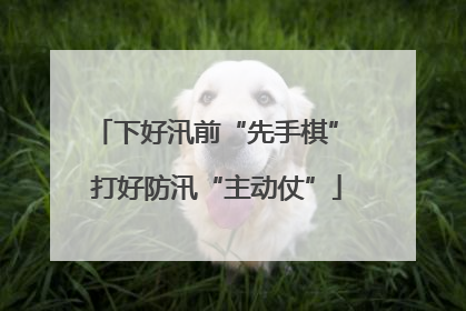 下好汛前“先手棋” 打好防汛“主动仗”
