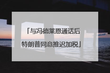 与冯德莱恩通话后 特朗普同意推迟加税