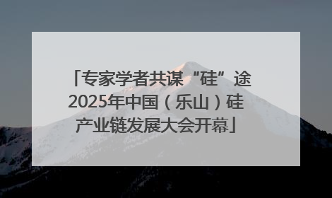 专家学者共谋“硅”途 2025年中国（乐山）硅产业链发展大会开幕