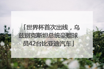 世界杯首次出线，乌兹别克斯坦总统豪赠球员42台比亚迪汽车