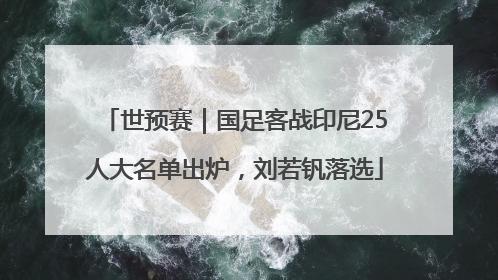 世预赛｜国足客战印尼25人大名单出炉，刘若钒落选