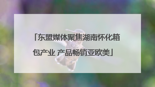 东盟媒体聚焦湖南怀化箱包产业 产品畅销亚欧美
