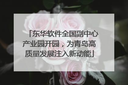 东华软件全国副中心产业园开园，为青岛高质量发展注入新动能