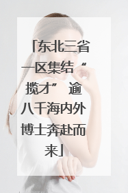 东北三省一区集结“揽才” 逾八千海内外博士奔赴而来